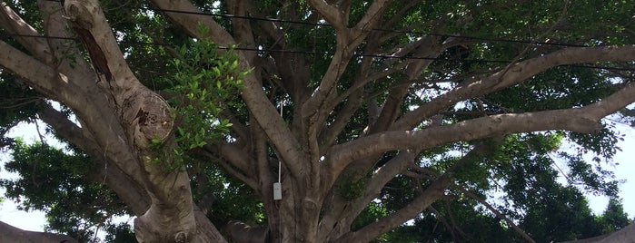 Marvel Tree Hotel is one of Doruk’s Liked Places.