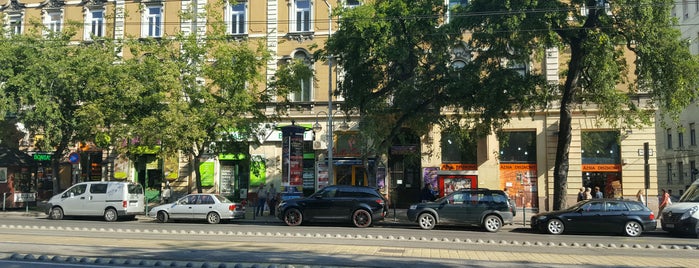 Bio Hair is one of Budapesti egészséges helyek.