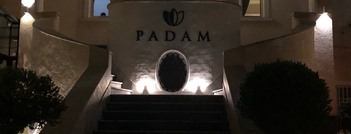 Padam is one of Dinner.
