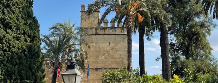 Alcázar de los Reyes Cristianos is one of Andalusia 2017.