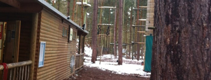 Action Challenge / Aerial Adventure is one of CenterParcs Nottingham.