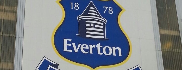 Goodison Park is one of The 92 Club.