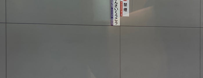Nankai Kansai-Airport Station (NK32) is one of Train Stations : Visited.
