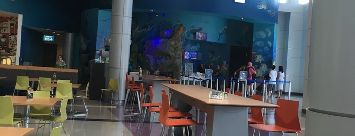 Orlando SeaLife Aquarium is one of Orlando <3.