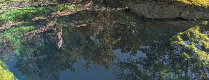 Jacob's Well is one of Austin.