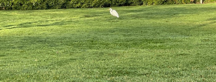 Cortez Park is one of Kids.