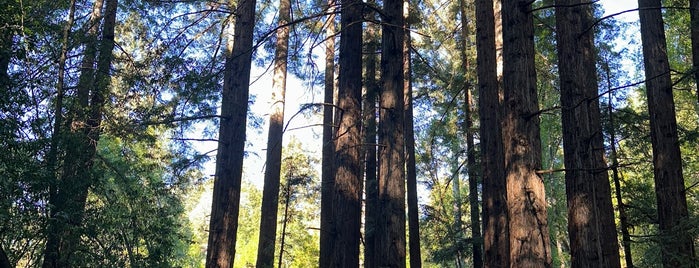 Delaveaga Park is one of The 15 Best Places with Scenic Views in Santa Cruz.