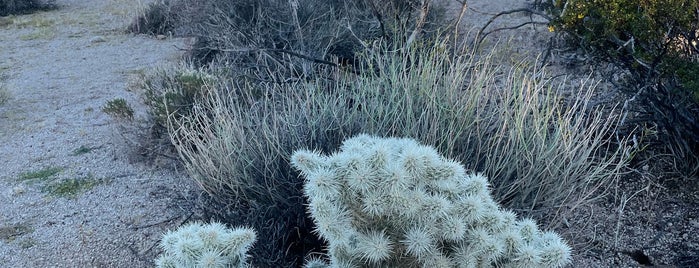 Skull Rock is one of Joshua Tree.