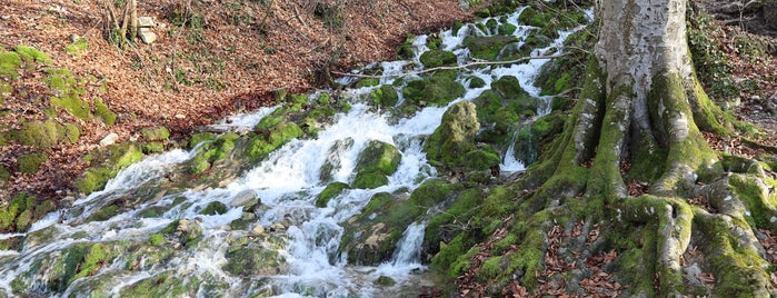 Neidlinger Wasserfälle is one of Schwäbische Alb.