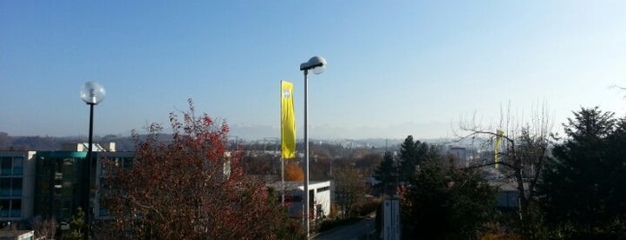 McDonald's is one of McDonald's Switzerland.
