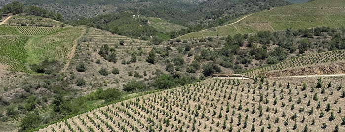 Mas Doix is one of Priorat.