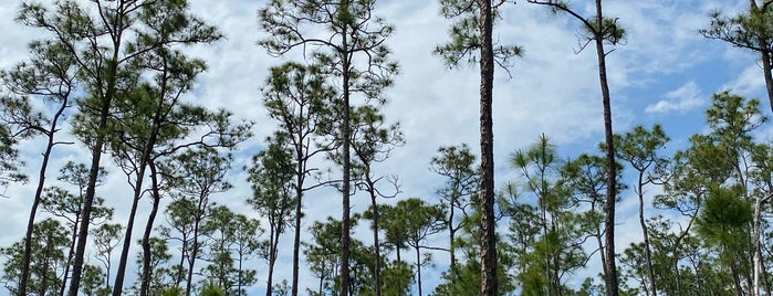 Pinelands Trail is one of fl.