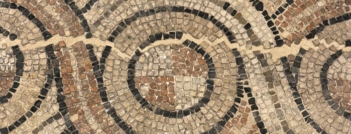 Domus dei Tappeti di Pietra is one of Ravenna.
