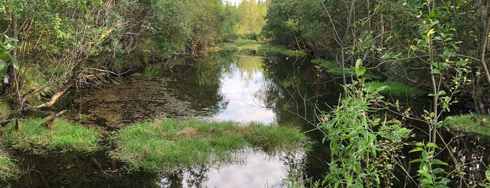 река Парица is one of Вероникаさんのお気に入りスポット.