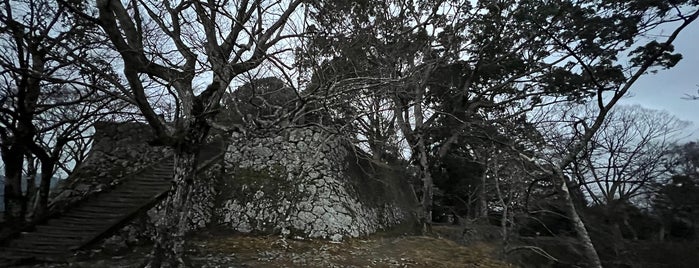 Saiki Castle Ruins is one of 城・城址・古戦場等（１）.