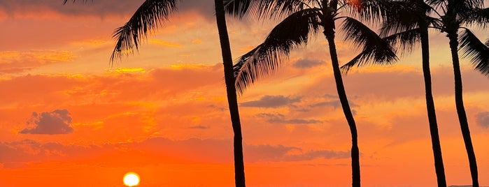 Kaka‘ako Waterfront Park is one of Hawai'i Essentials.