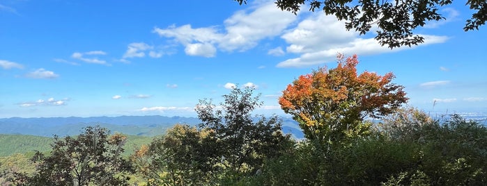 岩茸石山 is one of 日本の🗻ちゃん(⌒▽⌒).