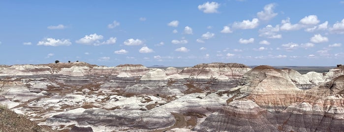 Blue Mesa Trail is one of Lieux qui ont plu à Davide.