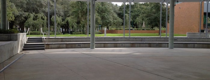 The Amphitheater (MSC) is one of Fl +.