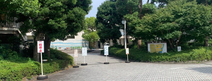 神奈川県立平塚中等教育学校 is one of 高校.
