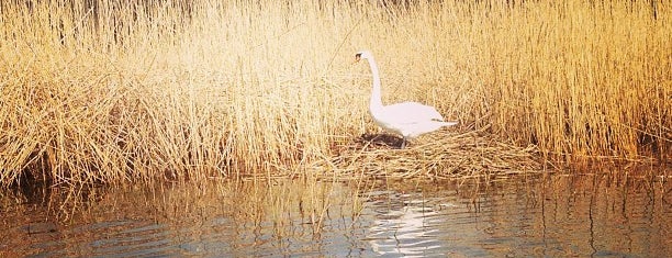 Ramsholmen is one of Diana'nın Beğendiği Mekanlar.