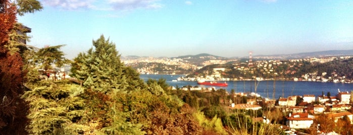 Ulus Parkı is one of koru.