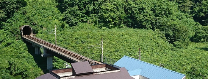 ほくほく大島駅 is one of 新潟県内全駅 All Stations in Niigata Pref..