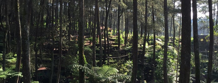 Bandung Treetop Adventure Park is one of Orte, die Hendra gefallen.