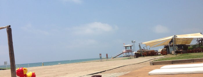 Beach Cabana is one of Orte, die Ayfer gefallen.