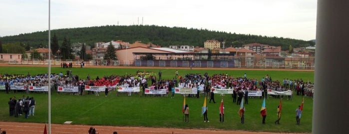 Şeyh Edebali Stadyumu is one of Posti che sono piaciuti a Ismail.