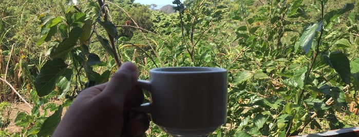Don Juan Coffee Tour is one of CostaRica.