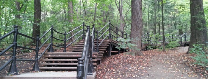 Parc du Mont-Royal is one of My Little Corner of the World.