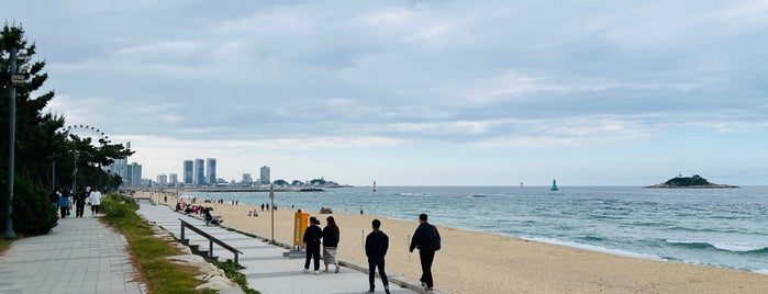 Sokcho Beach is one of 가자_동쪽.