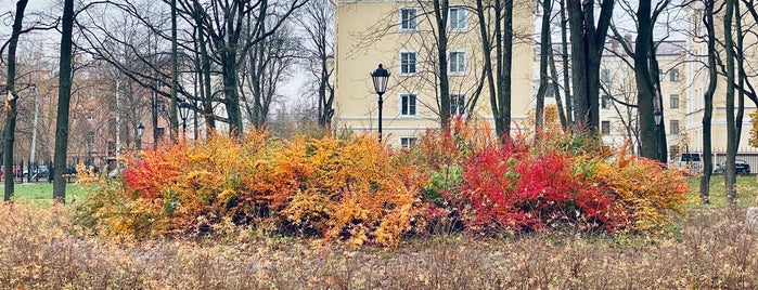 Летний сад is one of Кронштадт.