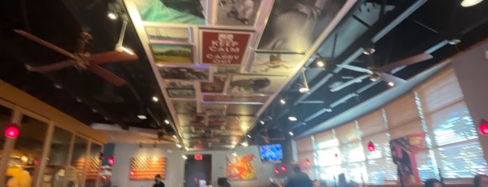 Red Robin Gourmet Burgers and Brews is one of Favorite affordable date spots.