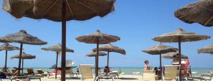 Spiaggia La Siesta is one of Pisa🥂.