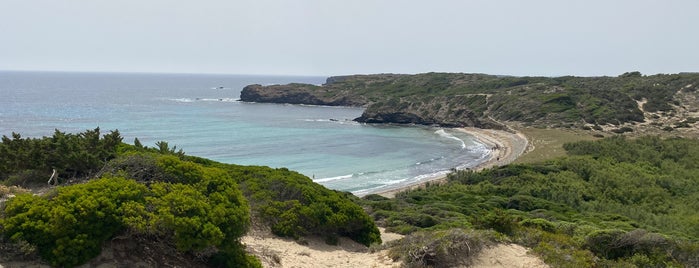 Cala Tortuga is one of SUMMER HOUSE.