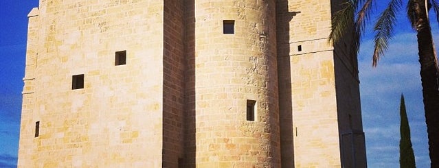 Torre de la Calahorra is one of Que visitar en Cordoba.