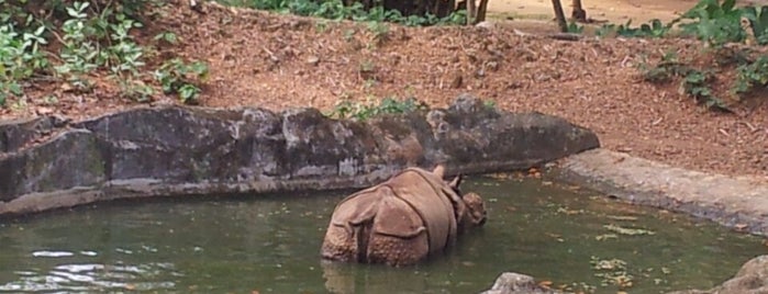 Trivandrum Zoo is one of South India.