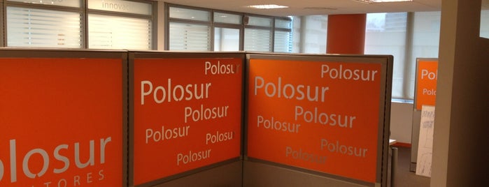 Polosur Consultores is one of Orte, die Ricardo gefallen.