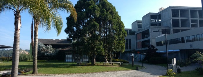 Universidad Autónoma de Manizales is one of Universidades en Manizales.