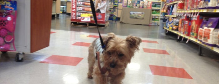 PetSmart is one of Maxwell’s Liked Places.