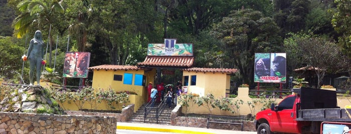 Parque Zoológico Chorros de Milla is one of Zoológicos de Venezuela.