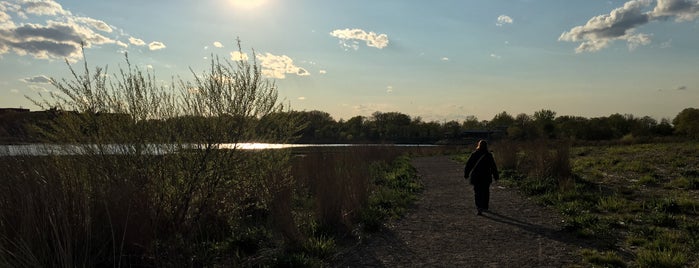 Marine Park Nature Preserve is one of NYC Outdoors.