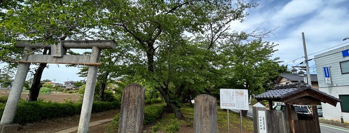 野本八幡神社 is one of 神社_埼玉.