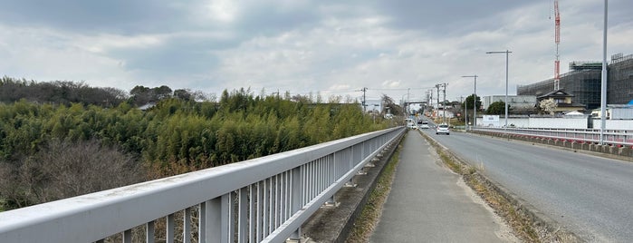 天戸大橋 is one of 渡った橋（東日本）.