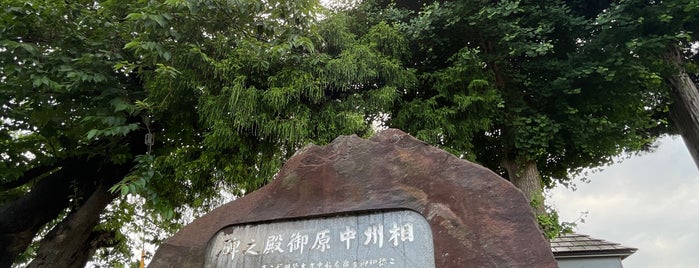 中原御殿跡 (相州中原御殿之碑) is one of 中原街道.