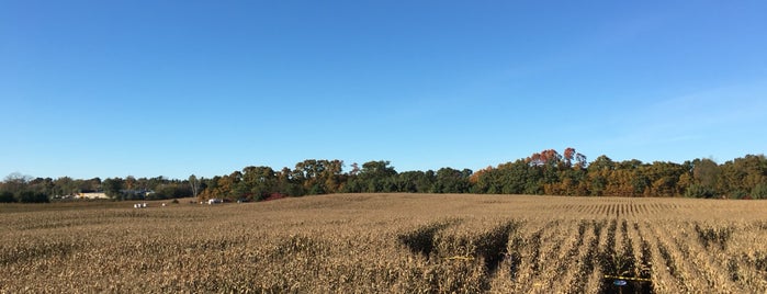 Harvest Moon Acres is one of Fabulous Fall Corn Mazes & Pumpkin Patches.