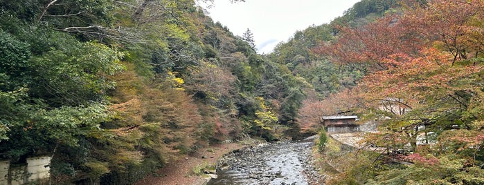 高雄橋 is one of 京都に旅行したらココに行く！.