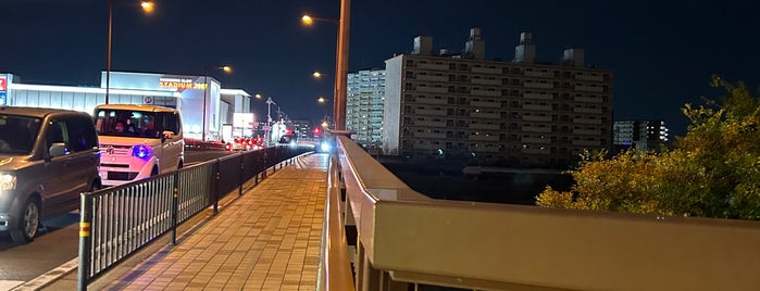 新三国橋 is one of うまれ浪花の 八百八橋.
